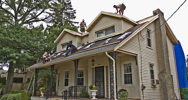 Roof Gutter Cleaning in Latta, SC